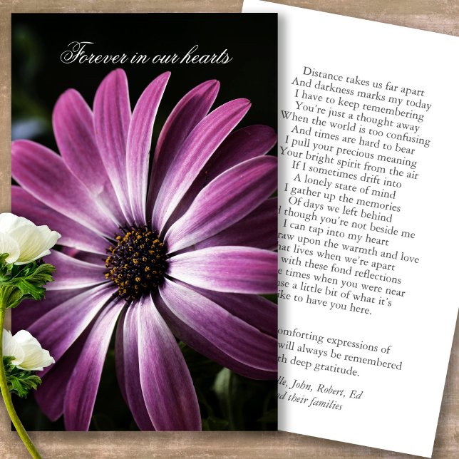 Cartões de condolências de Oração da Daisy Roxa Pe (Forever in our hearts, celebration of life, in loving memory of, prayer cards for bereavement)