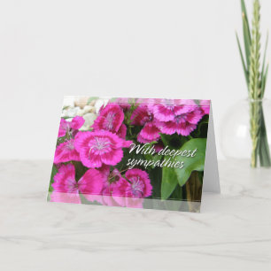 Cartões de condolências doces de Williams