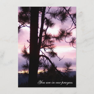 Cartões de condolências sunset