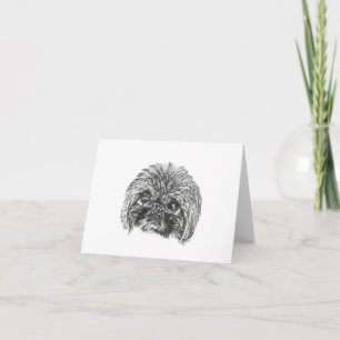 Cartões de correspondência de vazio Pekingese