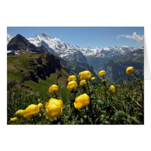 Cartões de cumprimentos suíços, Grindelwald,