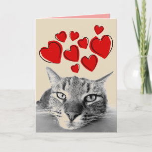 CARTÕES DE DIA DOS NAMORADOS DE GATO MALHADO