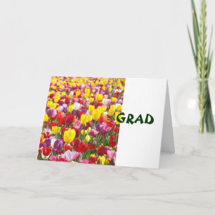Cartões de felicitações GRAD Parabéns Tulipa Flore