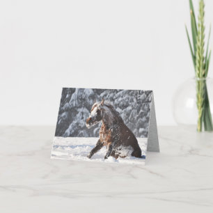 Cartões de Férias em Neve