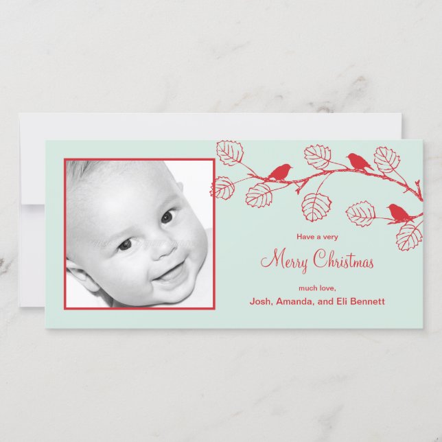 Cartões de foto de Natal de Aves Férias (Frente)