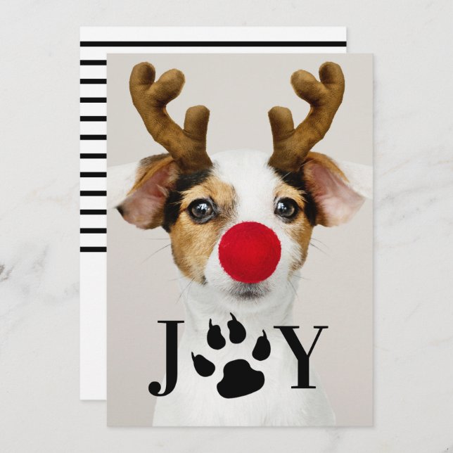 Cartões de foto de Natal de Impressão de Joy Dog P (Frente/Verso)