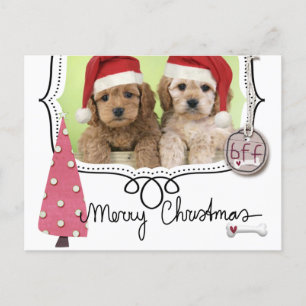 Cartões de foto de Natal Pet