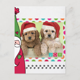 Cartões de foto de Natal Pet