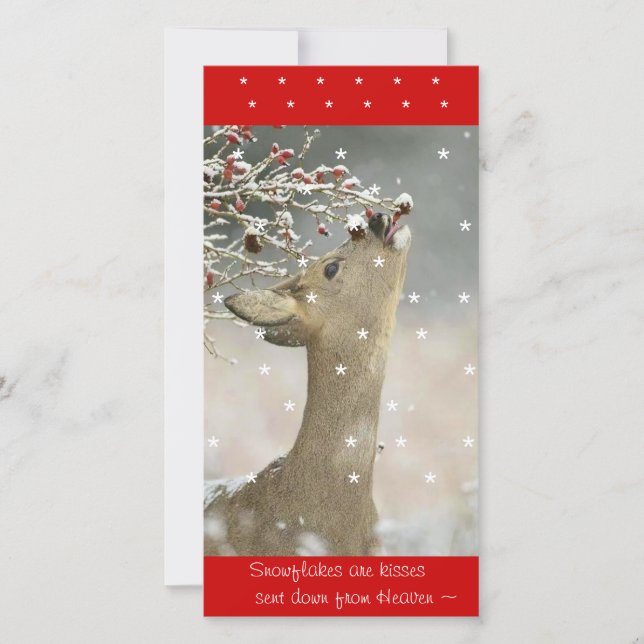 Cartões de fotos (Frente)