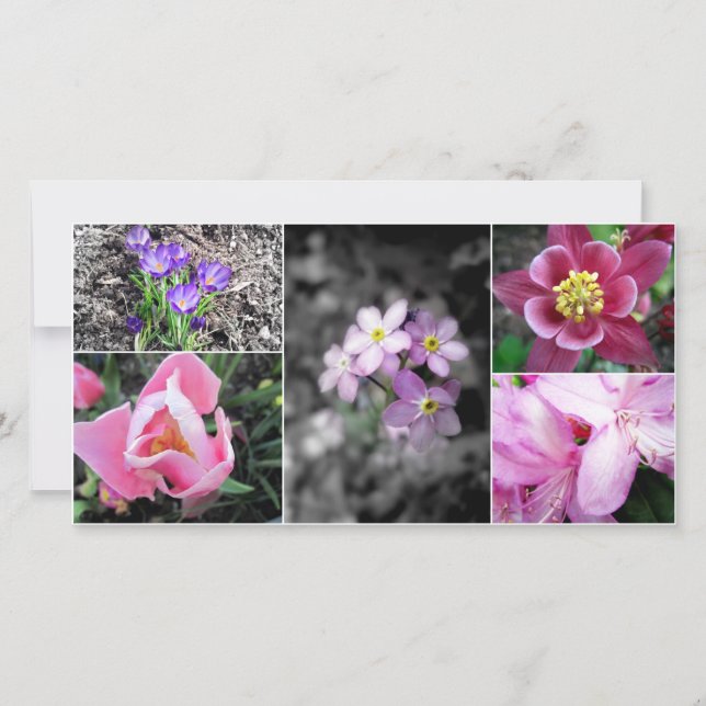 Cartões de fotos de Colagem primavera (Frente)