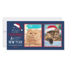 Cartões de fotos de Foto do Felowy Christmas Cat 2