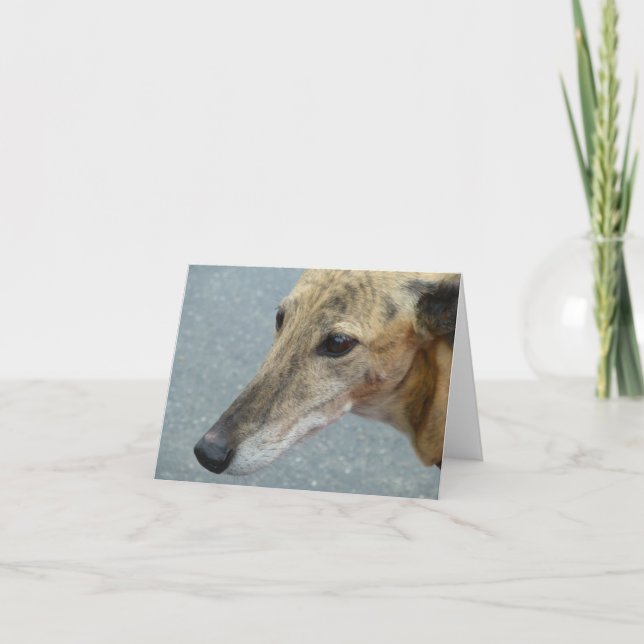 Cartões de fotos de galgos (p291) (Frente)