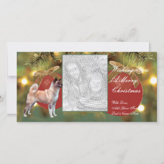Cartões de fotos de Natal do Ornament Akita