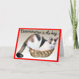 Cartões de gato, Encorajamento engraçado a um amig