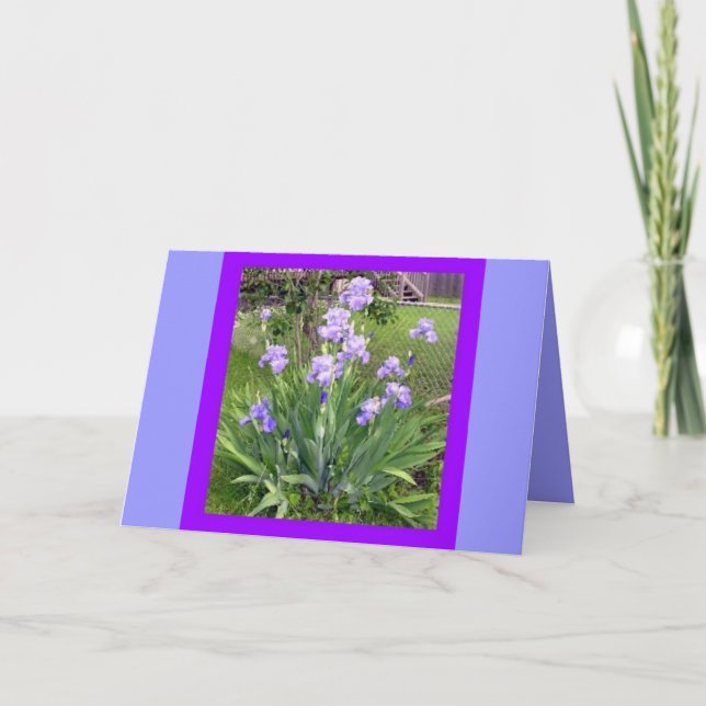 CARTÕES DE GREETING (Frente)