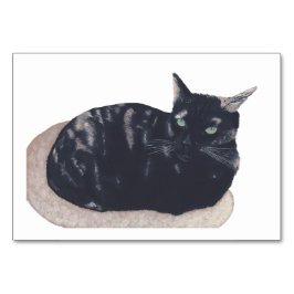 Cartões de leitura de gatos TortoisesInferno para