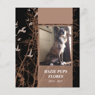 cartões de memória de aves silhuscreen