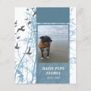 cartões de memória de aves silhuscreen