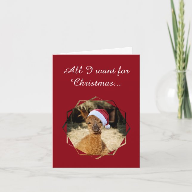 Cartões de Natal Alpaca (Frente)