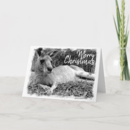 Cartões de Natal Australianos - Kangaroo