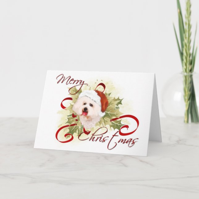 Cartões de Natal Bichon Frise (Frente)