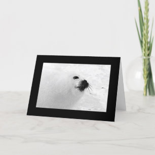 Cartões de Natal Brancos Pretos   Feriado branco p