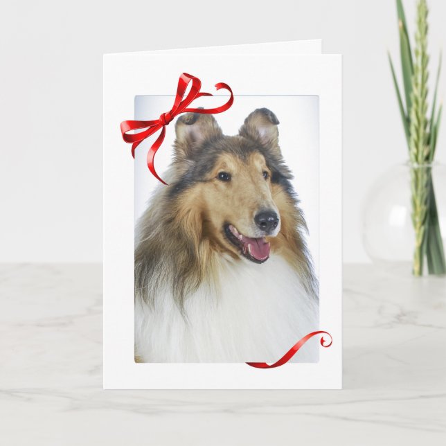 Cartões de Natal Collie (Frente)