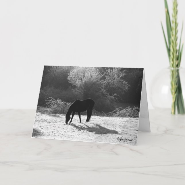 Cartões de Natal de 2012 (Frente)