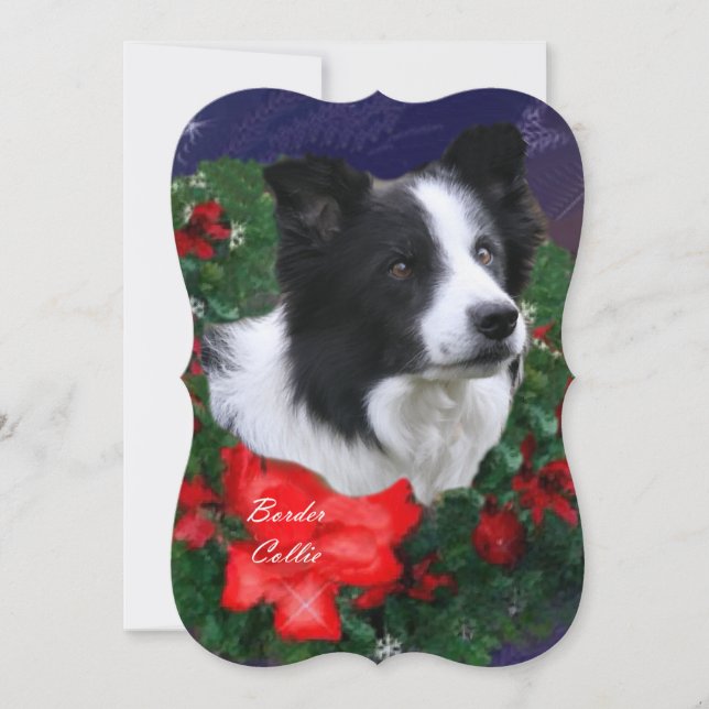 Cartões de natal de Borda Collie (Frente)