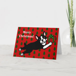 Cartões de Natal de Boston Terrier