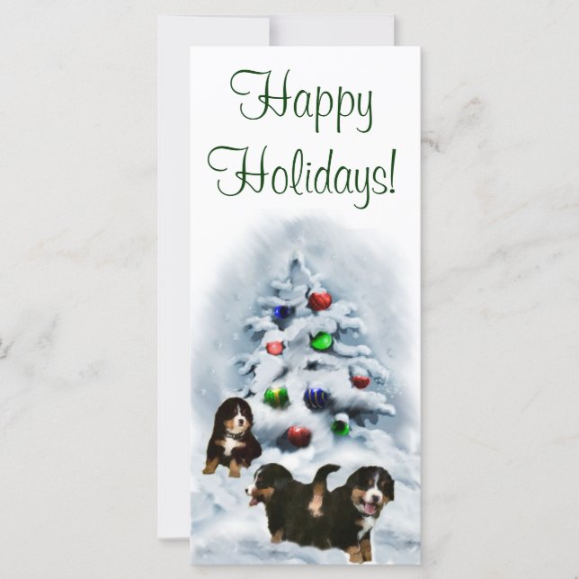 Cartões de Natal de Cães de Montanha Bernese (Frente)