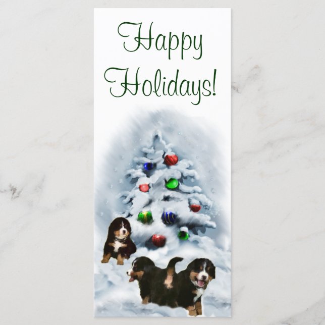 Cartões de Natal de Cães de Montanha Bernese (Frente)