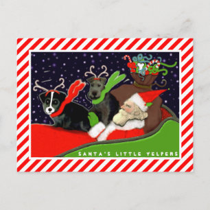 Cartões de Natal de Cães Engraçados
