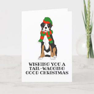cartões de natal de cão da montanha do bernês