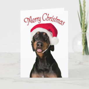 Cartões de Natal de Doberman Engraçado