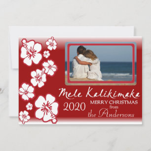 Cartões de natal de fotos do fade hibiscus vermelh