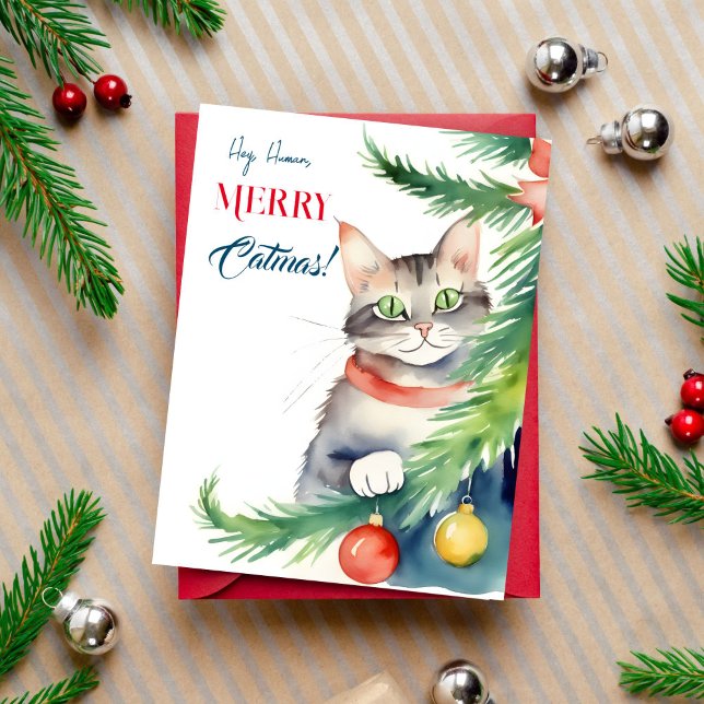Cartões de natal de natal de feliz para pessoas de (Merry catmas Christmas greeting postcard for cat people cute green eyed cat peeping by  tree)