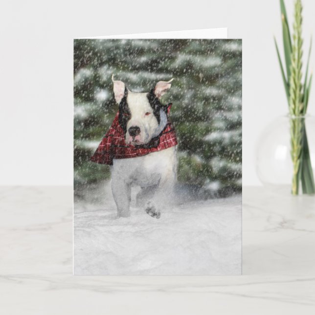 Cartões de natal de Natal Snowy para o Dog Lover (Frente)