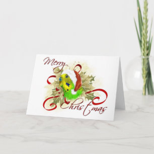 Cartões de Natal de Parakeet