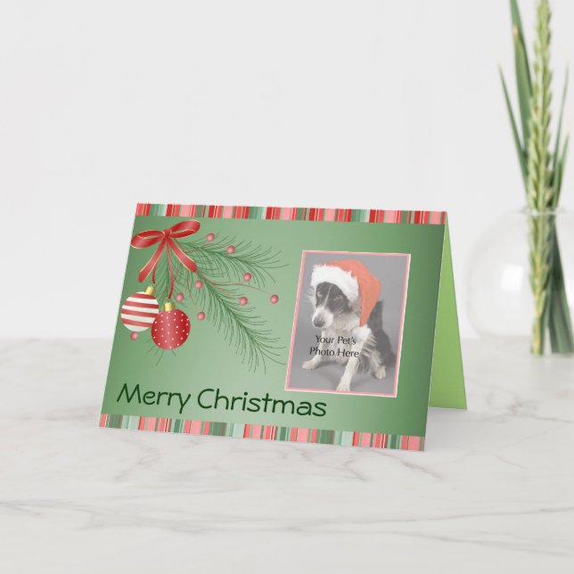 Cartões de Natal de Pet Fotografias Personalizadas (Frente)