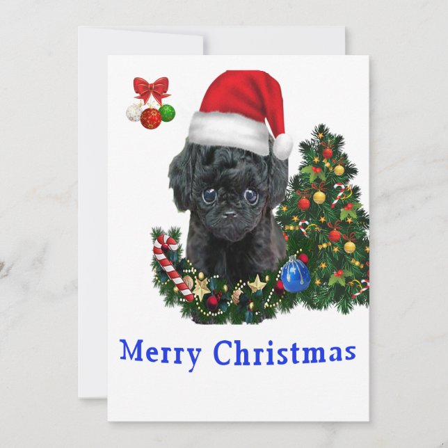 Cartões de Natal de Poodle (Frente)