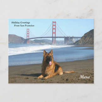 Cartões de natal de San Francisco