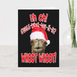 Cartões de Natal do Camelo Hump