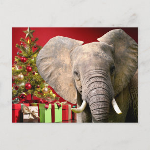 Cartões de natal elefantes