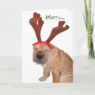 Cartões de natal engraçados do Cão