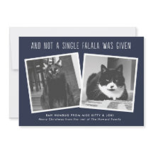 Cartões de Natal engraçados para donos de animais 