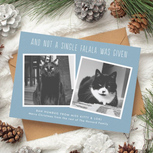 Cartões de Natal engraçados para donos de animais  (funny cat owner christmas cards)