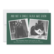 Cartões de Natal engraçados para donos de animais 