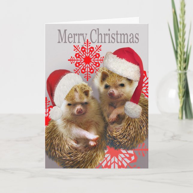 Cartões de Natal Feliz Hedgehog (Frente)