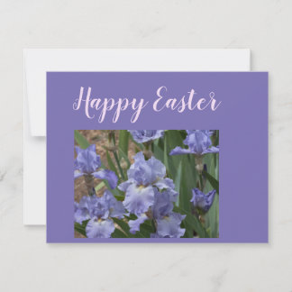 Cartões de natal felz pascoa